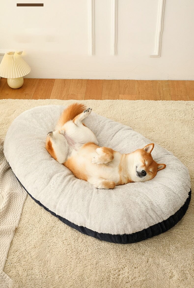 Cama Oval para Cachorro Dreamdog Pet - Cama Oval para Cachorro Dreamdog KITO MAGAZINE 