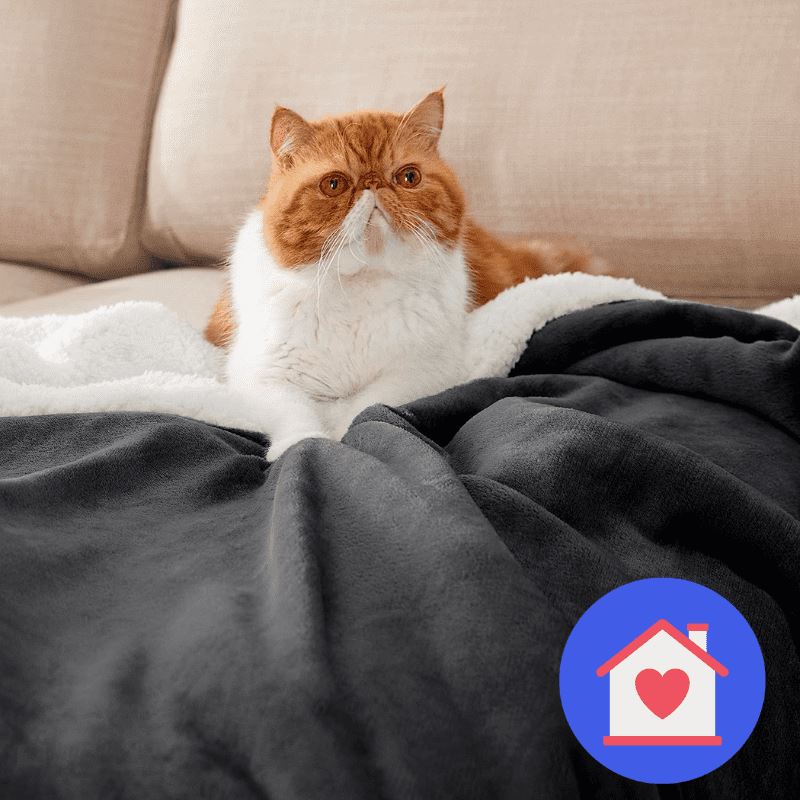 Coberdrom Sherpa Pele de Carneiro Quarto - Coberdrom Sherpa Pele de Carneiro 01 Kito Magazine 