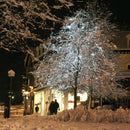 Pisca de Natal 200 Luzes Brancas Casa e Jardim - 200 Luzes Brancas KITO MAGAZINE 